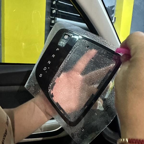 Forrado en PPF Premium